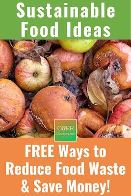 Ways to Reduce Food Waste and Save Money Pinterest Pin