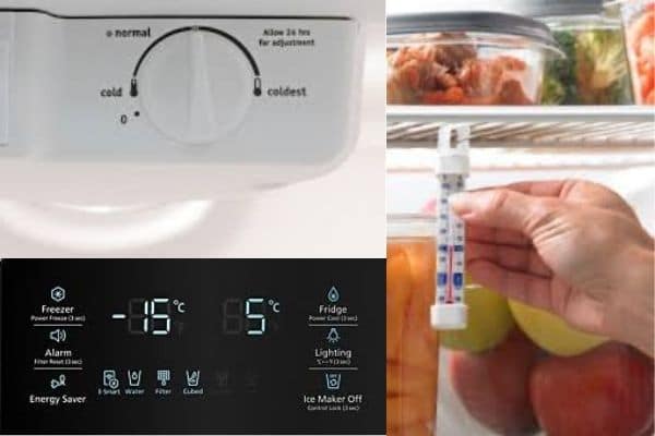 fridge thermometer pics