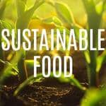 How to Achieve Sustainable Food