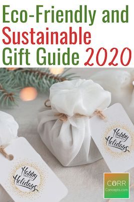 Eco-Friendly and Sustainable Gift Guide 2020 Pinterest pin
